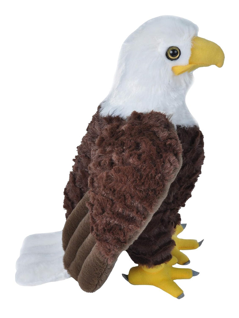 Wild cheap republic eagle