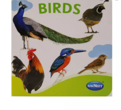 Navneet Tiny Board Book Birds