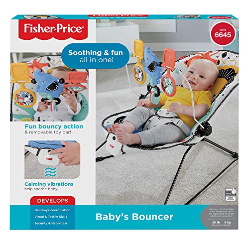 Fisher Price Baby's Bouncer Soothing & Fun