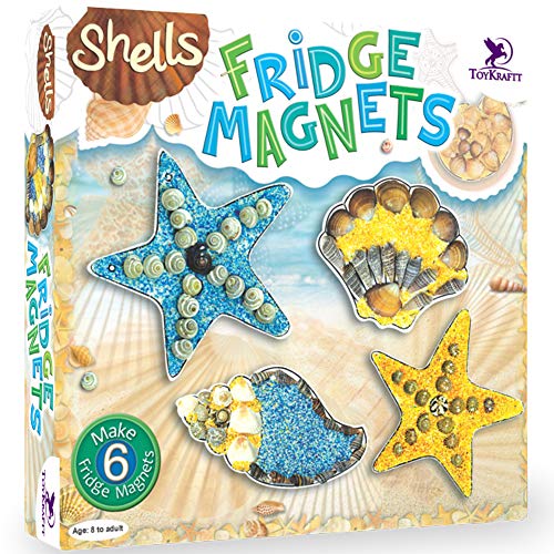 Toy Kraf Shell Fridge Magnets